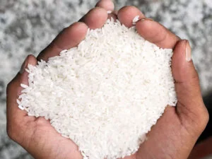 VITAMIN AND MINERAL PREMIX FOR MANUFACTURING FORTIFIED RICE KERNELS 300x225